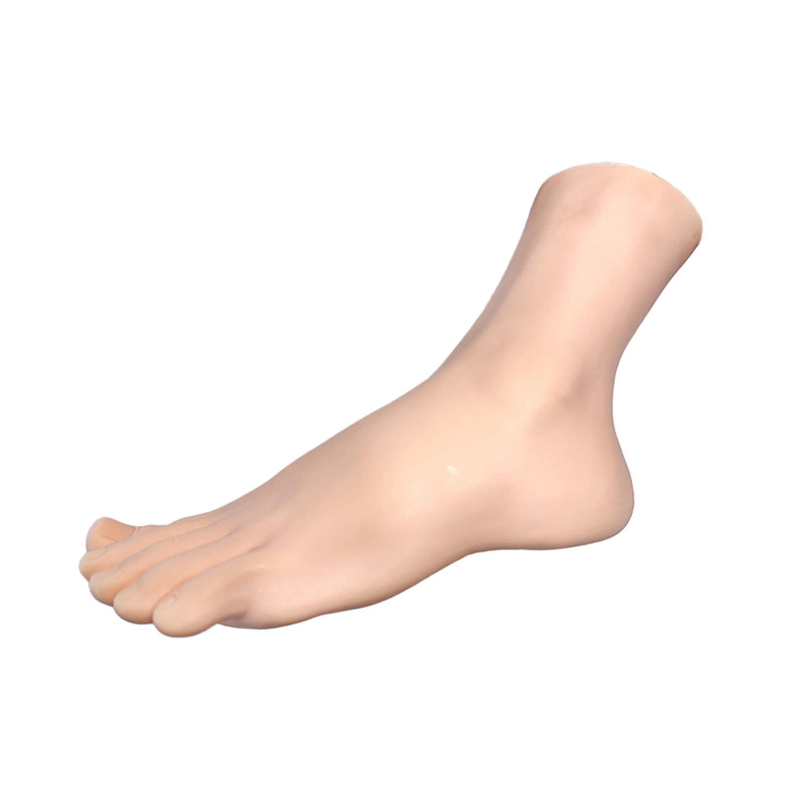 Body Jewelry Shop - Sock Display Model Women’s Foot Manikin